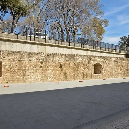 Dado Zadar
